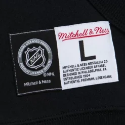 Men Mitchell & Ness Hoodies & Sweatshirts-Game Time Fleece Hoodie Current Logo Boston Bruins