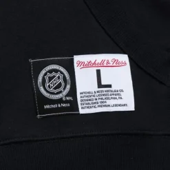 Men Mitchell & Ness Hoodies & Sweatshirts-Game Time Fleece Hoodie Current Logo St. Louis Blues