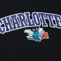 Men Mitchell & Ness Hoodies & Sweatshirts-Game Time Fleece Hoodie Vintage Logo Charlotte Hornets