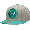 Mitchell & Ness Snapback-Grey Pin Pop Snapback Hwc Vancouver Grizzlies