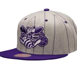 Mitchell & Ness Snapback-Grey Pin Pop Snapback Hwc Charlotte Hornets