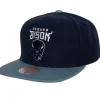 Mitchell & Ness Snapback-Hbcu Team 2 Tone 2.0 Snapback