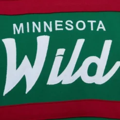 Men Mitchell & Ness Hoodies & Sweatshirts-Head Coach Hoodie Minnesota Wild