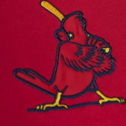 Men Mitchell & Ness Hoodies & Sweatshirts-Head Coach Hoodie St. Louis Cardinals