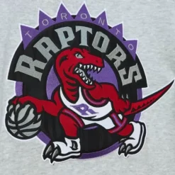 Men Mitchell & Ness Hoodies & Sweatshirts-Heavyweight Fleece Hoodie Toronto Raptors