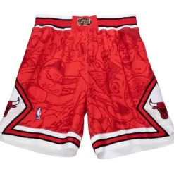 Men Mitchell & Ness Shorts-Hebru Shorts Chicago Bulls