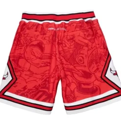 Men Mitchell & Ness Shorts-Hebru Shorts Chicago Bulls