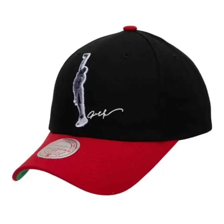Mitchell & Ness Snapback-Highlight Real Snapback Hwc Philadelphia 76Ers Allen Iverson