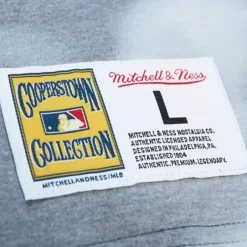 Men Mitchell & Ness T-Shirts & Tops-Highlight Sublimated Player Tee Anaheim Angels Vladimir Guerrero