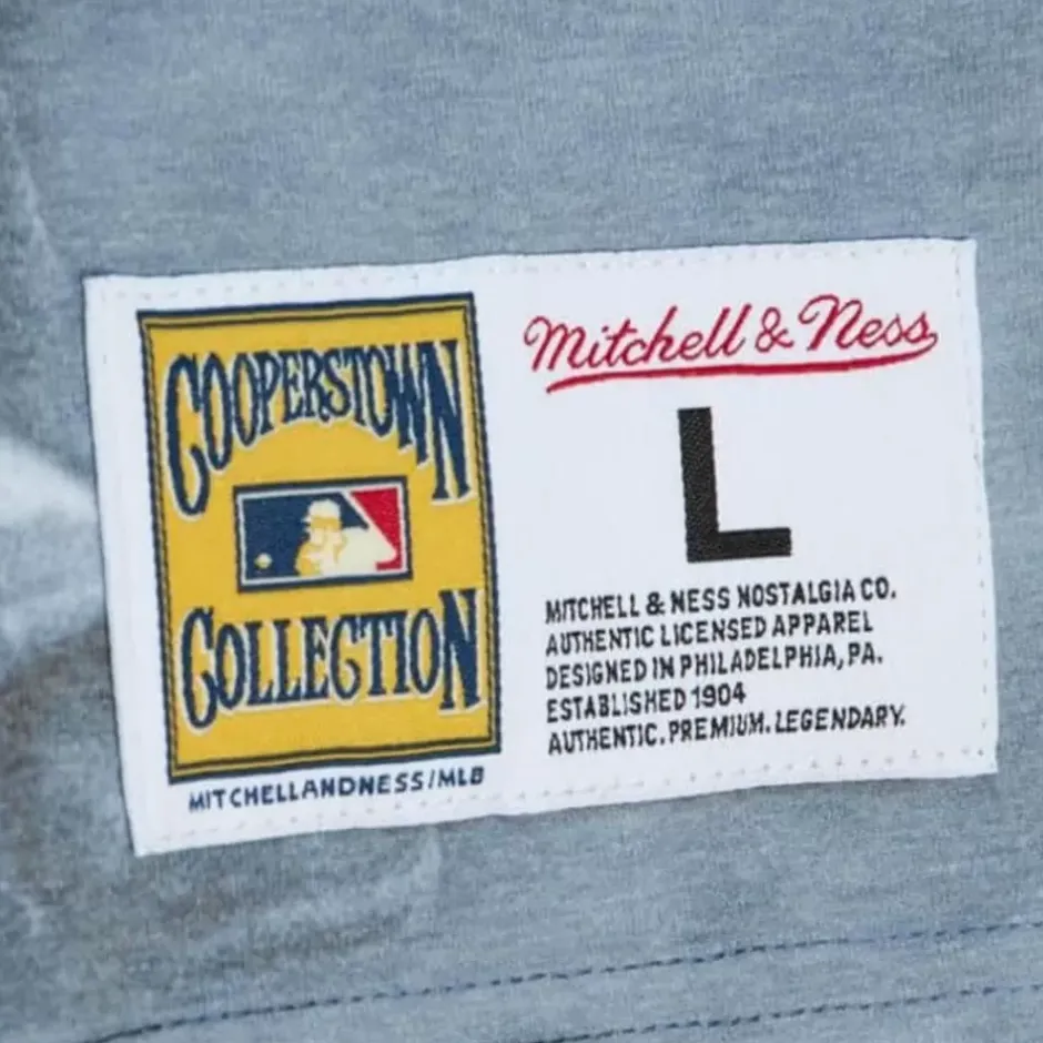 Men Mitchell & Ness T-Shirts & Tops-Highlight Sublimated Player Tee Chicago Cubs Ernie Banks