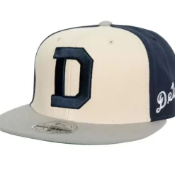 Mitchell & Ness Fitted-Homefield Fitted Coop Detroit Tigers