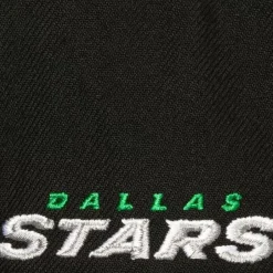 Mitchell & Ness Snapback-Icon Grail Pro Snapback Dallas Stars
