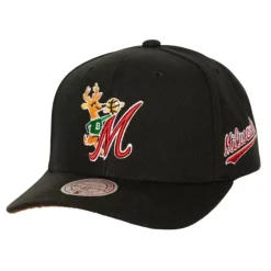 Mitchell & Ness Snapback-Icon Grail Pro Snapback Hwc Milwaukee Bucks