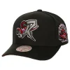 Mitchell & Ness Snapback-Icon Grail Pro Snapback Hwc Toronto Raptors