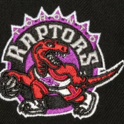 Mitchell & Ness Snapback-Icon Grail Pro Snapback Hwc Toronto Raptors