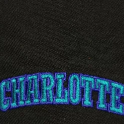 Mitchell & Ness Snapback-Icon Grail Pro Snapback Hwc Charlotte Hornets