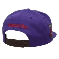 Mitchell & Ness Snapback-Just Don Draft Snapback Hwc Toronto Raptors