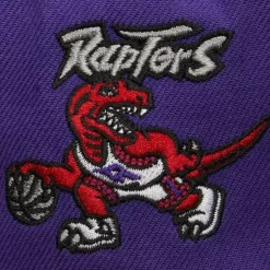 Mitchell & Ness Snapback-Just Don Draft Snapback Hwc Toronto Raptors