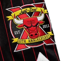Mitchell & Ness Just Don-Just Don 10Th Year Anniversary Shorts Chicago Bulls 1996