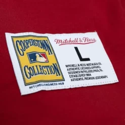 Men Mitchell & Ness T-Shirts & Tops-Legendary Slub Henley Atlanta Braves