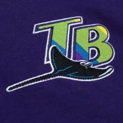 Men Mitchell & Ness T-Shirts & Tops-Legendary Slub Henley Tampa Bay Rays