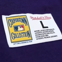 Men Mitchell & Ness T-Shirts & Tops-Legendary Slub Henley Tampa Bay Rays