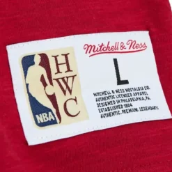 Men Mitchell & Ness T-Shirts & Tops-Legendary Slub Longsleeve Portland Trail Blazers