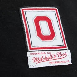 Men Mitchell & Ness T-Shirts & Tops-Legendary Slub Ls Tee Ohio State