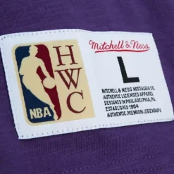 Men Mitchell & Ness T-Shirts & Tops-Legendary Slub S/S Tee All Star 1995