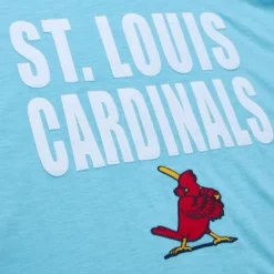 Men Mitchell & Ness T-Shirts & Tops-Legendary Slub Ss Tee St. Louis Cardinals