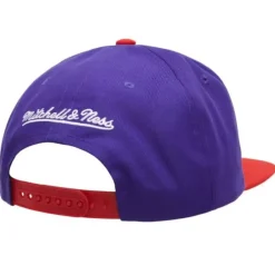 Mitchell & Ness Snapback-Logo Bill Snapback Hwc Toronto Raptors
