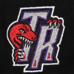 Mitchell & Ness Fitted-Logo History Fitted Hwc Toronto Raptors
