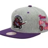 Mitchell & Ness Snapback-Melton Patch Snapback Hwc Toronto Raptors