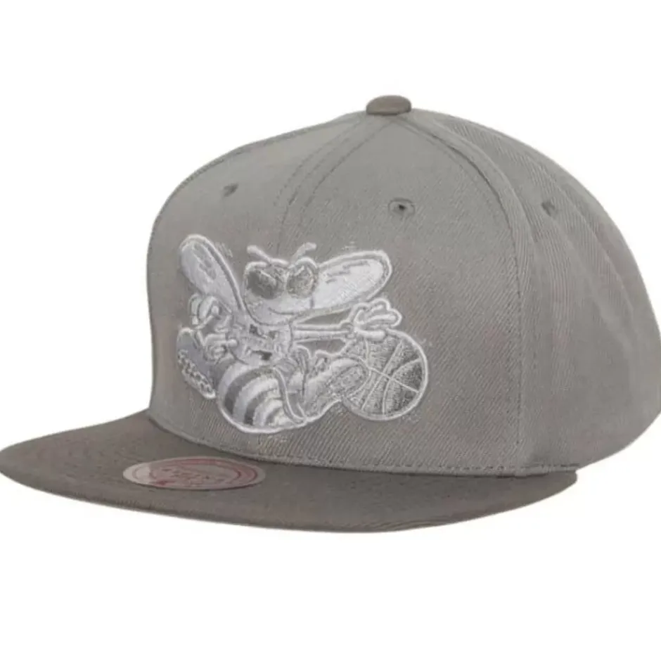Mitchell & Ness Snapback-Metallic Grey Snapback Hwc Charlotte Hornets