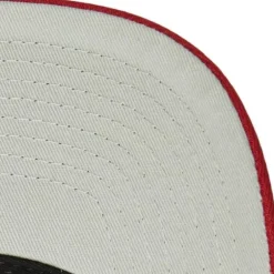 Mitchell & Ness Snapback-Box Logo Pro Snapback