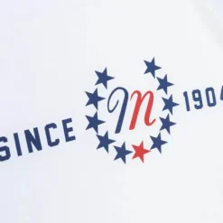 Men Mitchell & Ness T-Shirts & Tops-Patriotic Since 1904 Tee
