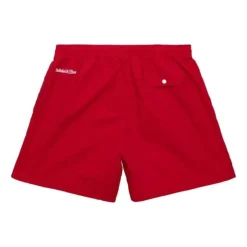 Mitchell & Ness M&N Brand-Team Essentials Nylon Shorts