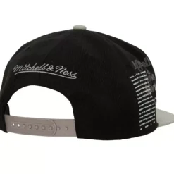 Mitchell & Ness Snapback-Team Origins Snapback