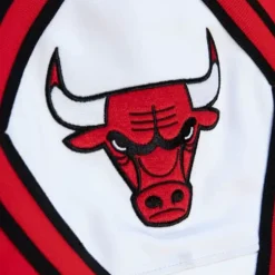 Men Mitchell & Ness Pants-M&N X Just Don Pants Chicago Bulls