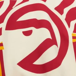 Woman Mitchell & Ness Hoodies & Sweatshirts-M&N X Melody Ehsani Raglan Pullover Atlanta Hawks