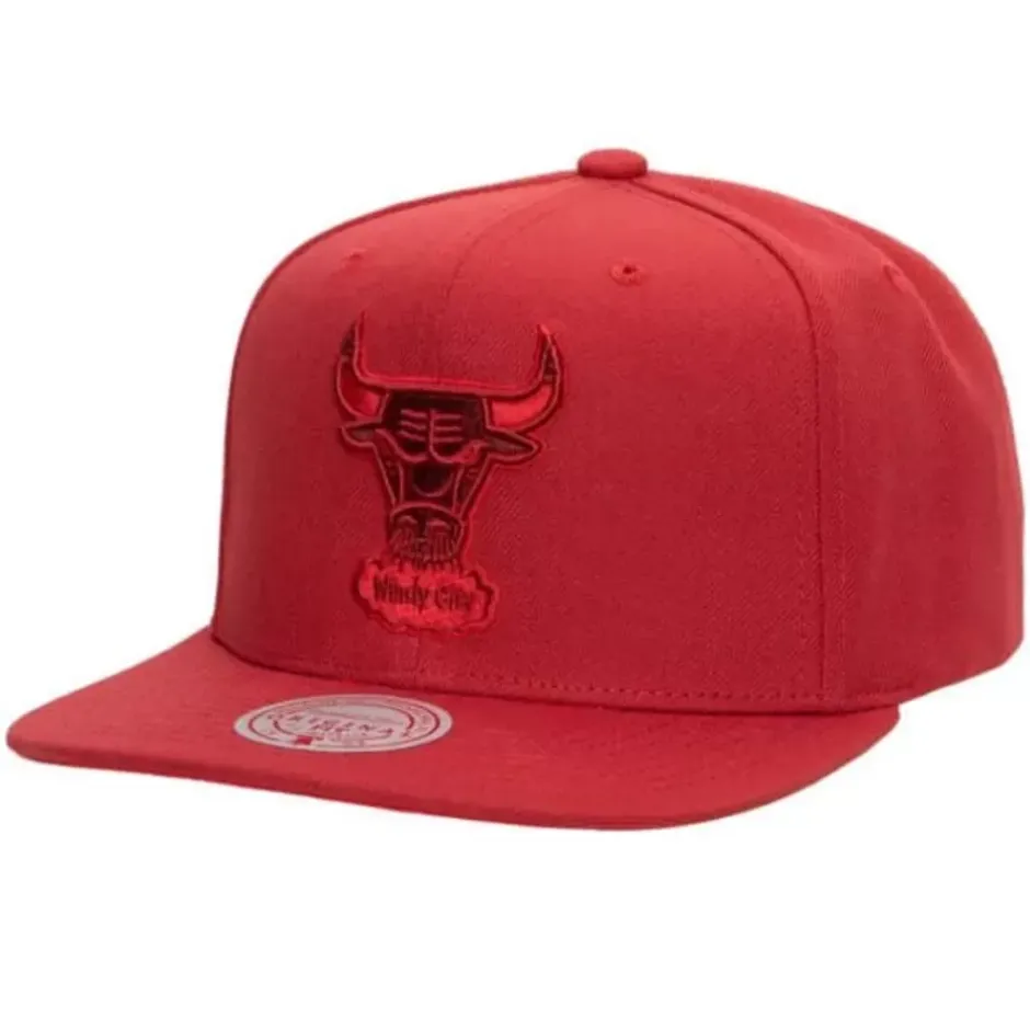 Mitchell & Ness Snapback-Monochromatic Snapback Hwc Chicago Bulls