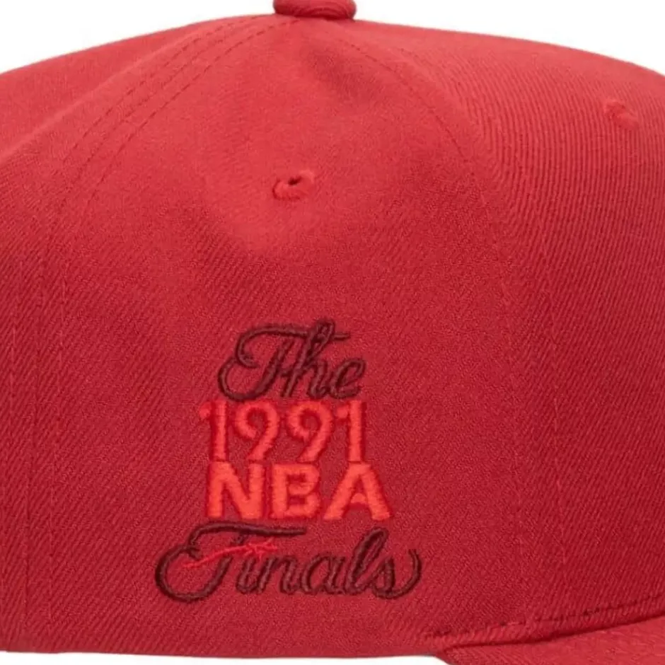 Mitchell & Ness Snapback-Monochromatic Snapback Hwc Chicago Bulls