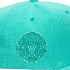 Mitchell & Ness Snapback-Monochromatic Snapback Hwc Vancouver Grizzlies