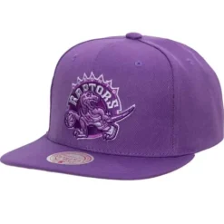 Mitchell & Ness Snapback-Monochromatic Snapback Hwc Toronto Raptors
