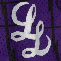 Men Mitchell & Ness Shorts-My Towns Legends League