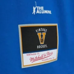 Men Mitchell & Ness T-Shirts & Tops-Name & Number Tee St. Louis Blues Brett Hull