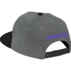 Mitchell & Ness Snapback-Neon Lights Snapback Hwc Toronto Raptors