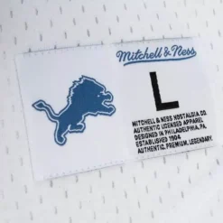 Men Mitchell & Ness T-Shirts & Tops-N&N Mesh Top Detroit Lions 1993 Barry Sanders