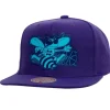Mitchell & Ness Snapback-Now You See Me Snapback Hwc Charlotte Hornets