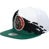 Mitchell & Ness Snapback-Paintbrush Snapback Hwc Boston Celtics